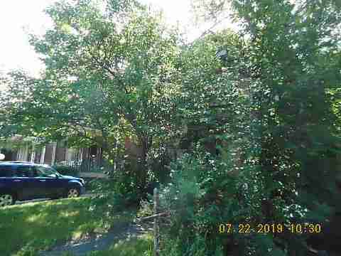 3759 Euclid (4)_m.jpg